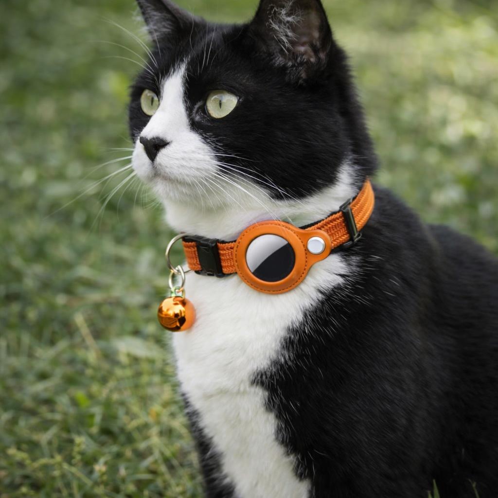 Cat AirTag Collar