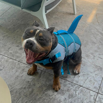 Swim Dog Vest - Shark Summer Swimwear for Your Pup!