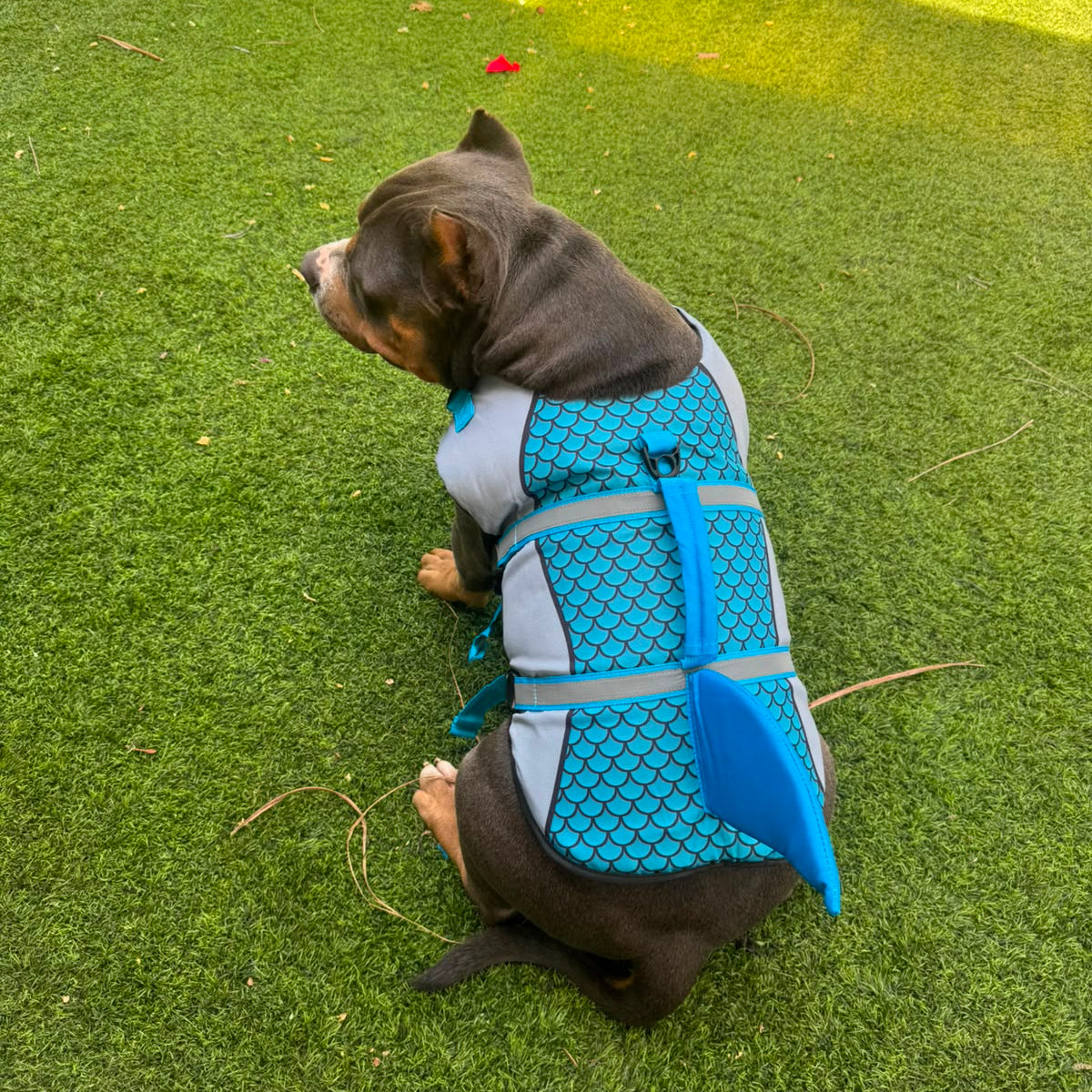 Swim Dog Vest - Shark Summer Swimwear for Your Pup!