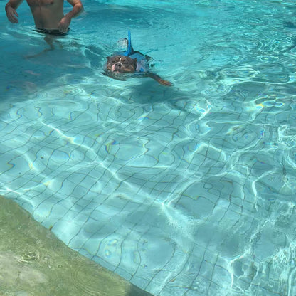 Swim Dog Vest - Shark Summer Swimwear for Your Pup!